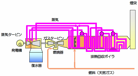 [}]RoChTCNdVXe̊Tv