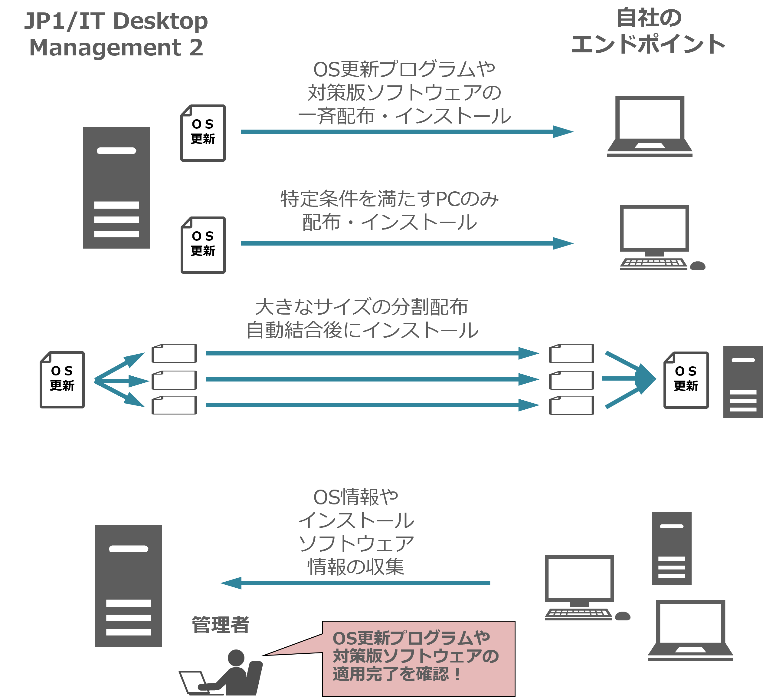 �����㐫�ւ̊m���ȑ΍�