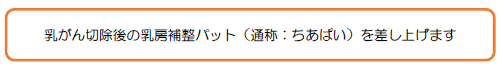 乳がん切除後の乳房補整パット（通称：ちあぱい）を差し上げます