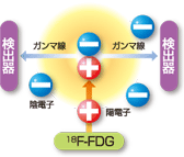 [画像]原理6イメージ