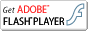 Adobe Flash Player̃_E[h