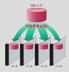 VXefBXNC[W𕡐T[o[ɈĂɔzM̐}