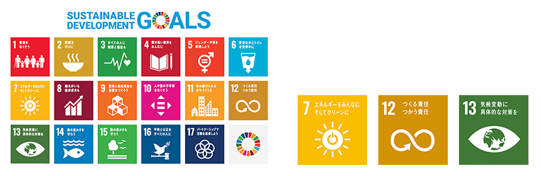 SUSTAINABLE DEVELOPMENT GOALS