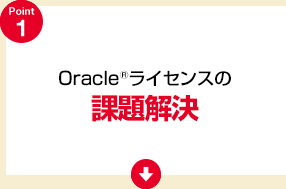 OracleCZX̉ۑ