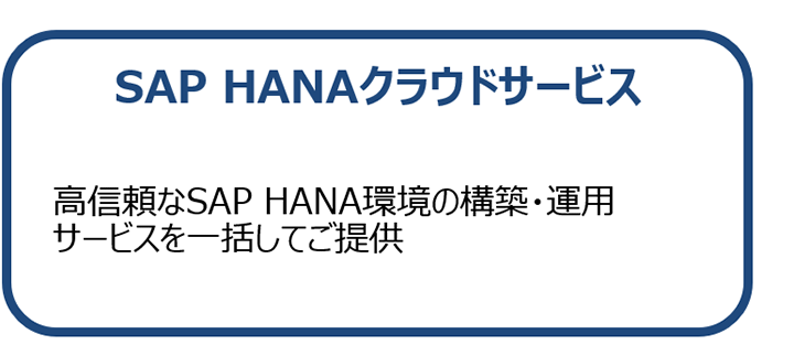 SAP HANANEhT[rX