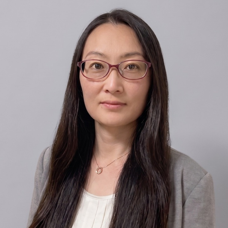 ���� �����q