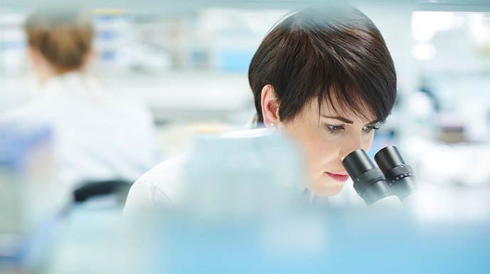 研究トピックス