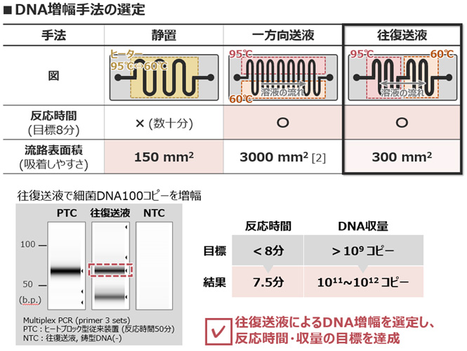 DNA増幅手法の選定