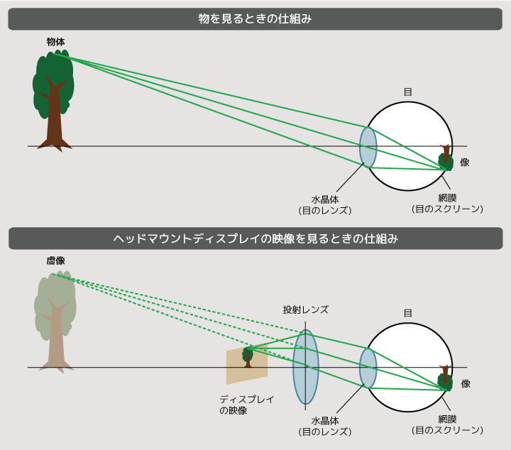 ヘッドマウントディスプレイで映像を見るときの仕組みを表した図