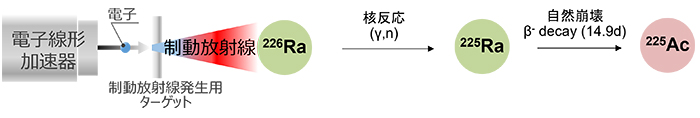 電子線形加速器を用いたアクチニウム225の製造方法