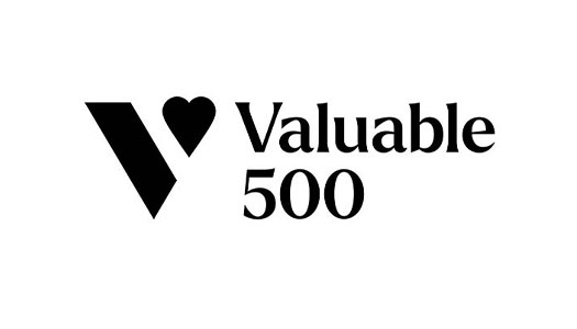 ロゴ：The Valuable 500