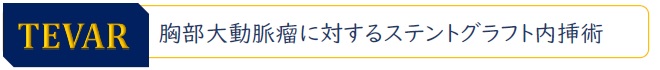 TEVAR:胸部大動脈瘤に対するステントグラフト内挿術