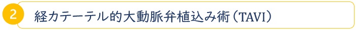 経カテーテル的大動脈弁植込み術（TAVI）