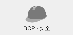 BCPES