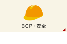 BCPES